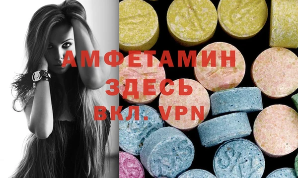 стаф Алзамай