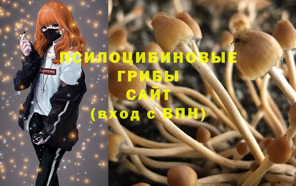 герыч Алексин