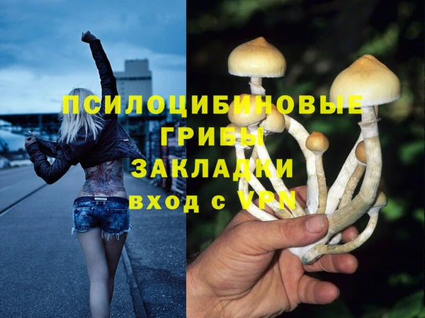 МДМА Алексеевка