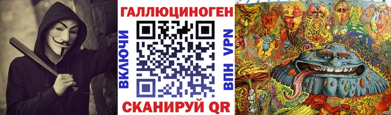 закладки  Курчалой  Галлюциногенные грибы MAGIC MUSHROOMS 